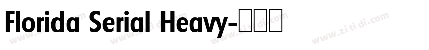 Florida Serial Heavy字体转换